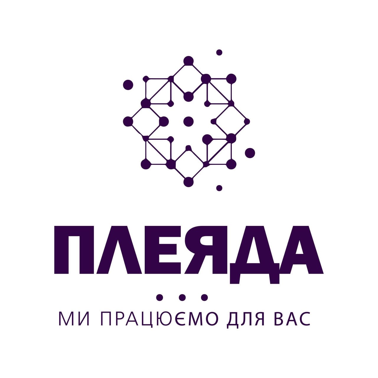 Партнер 7