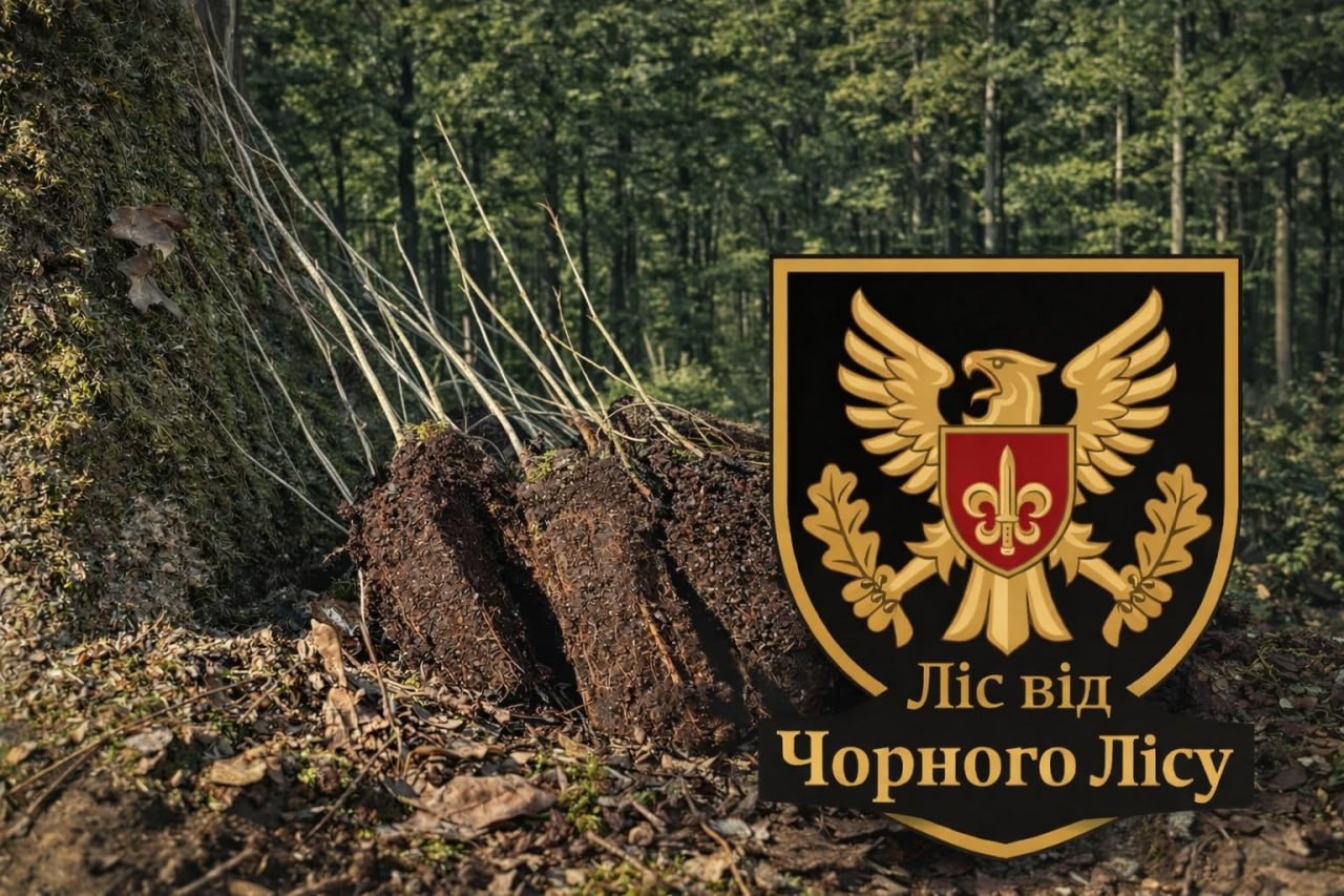 Соціальна ініціатива